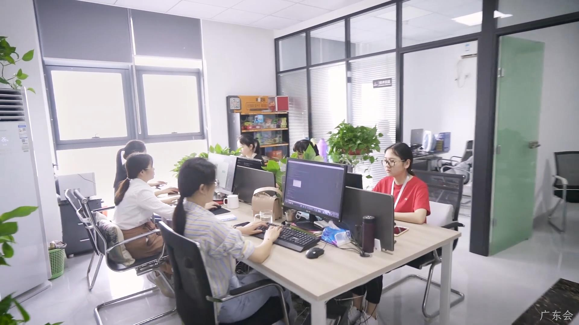 广东会网站建设怎么做更专业？本地企业建站避坑与实操指南
